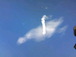 ミユキの写真