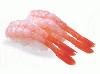 ∞・`)sashimi