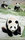 panda12王国